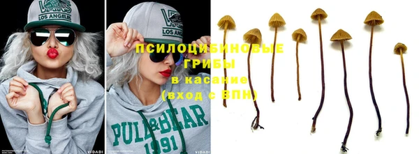 шишки Абдулино