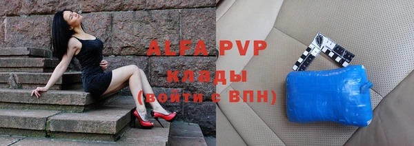 сатива Абинск