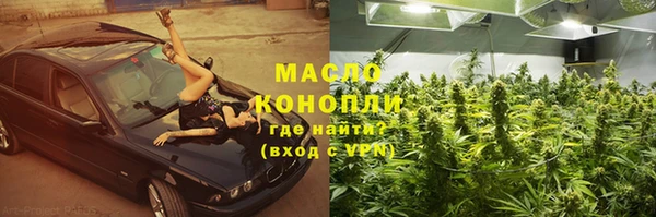 сатива Абинск