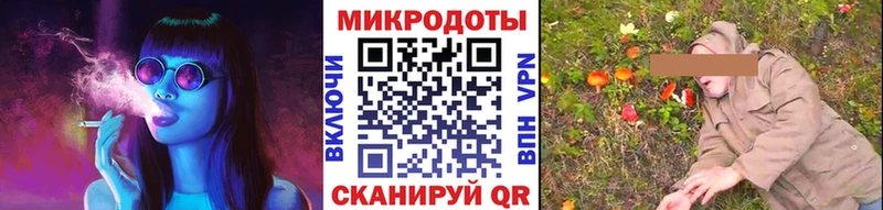 Псилоцибиновые грибы Cubensis  Грозный 